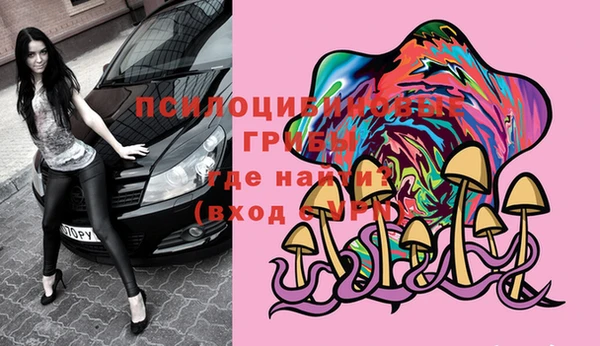 молекула духа Аркадак