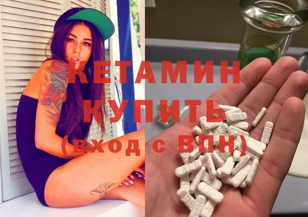 сатива Пересвет