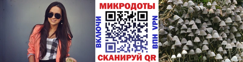 Псилоцибиновые грибы Psilocybe  Петухово 